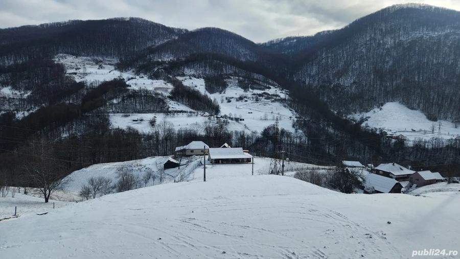 Vand schimb cabana la munte - 2