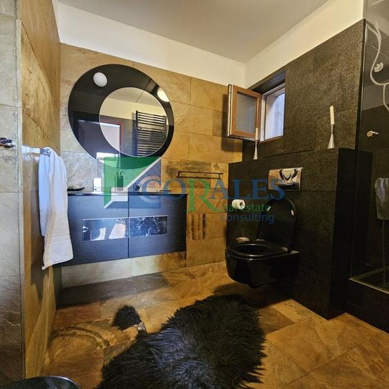 Pozitionat excelent in apropiere de Hotel Mercure. - 15