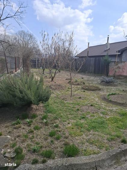 Rm Valcea -Calea lui Traian 258-Proprietate spatioasa-utilizare mixta - 10