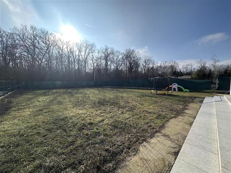 Vanzare Vila Padure Tunari - 8