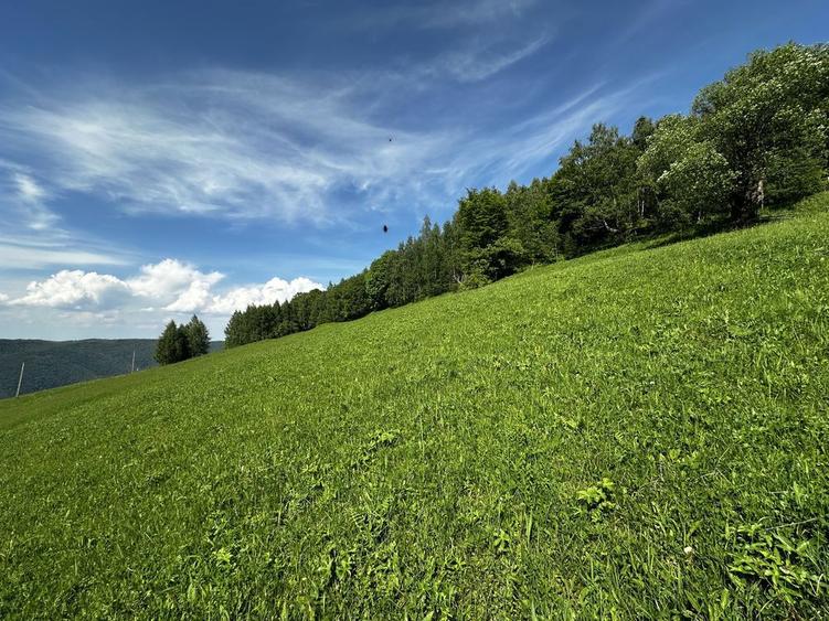 Vand teren extravilan Marisel - 1