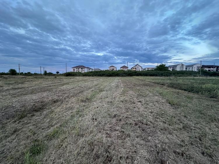 Teren servici cu front la BLD Petre Tutea - 2