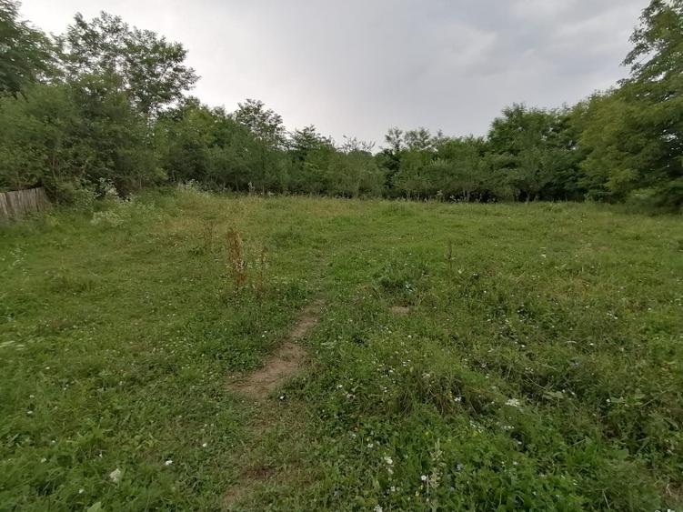 Curte 3025mp , Bughea de Jos, 5 min Valeni PH - 3