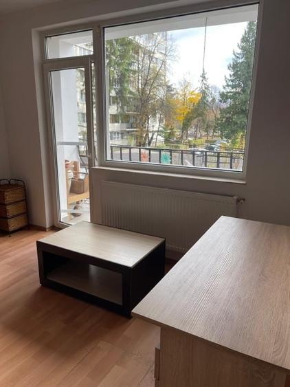 Studio renovat in Grigorescu, luminos, bloc nou - 5