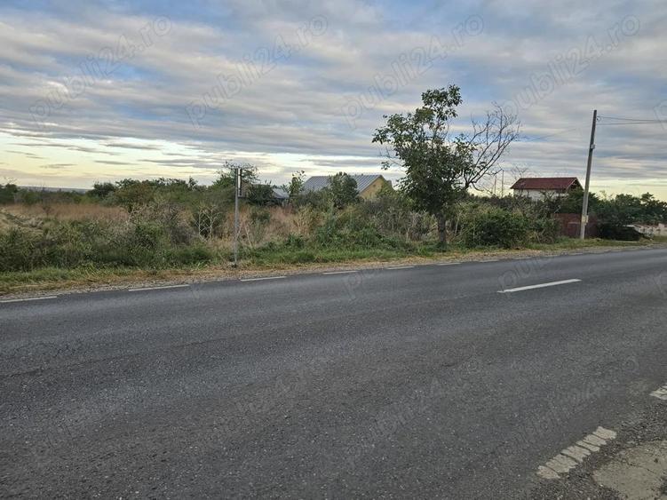 Teren vanzare front stradal DN 26 VANATORI - 1