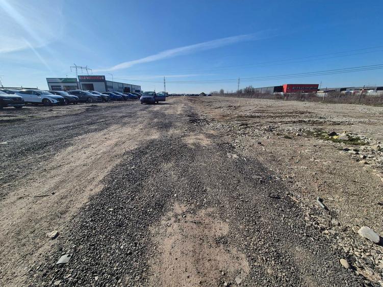 teren 5000 mp de inchiriat Ciorogarla - 3