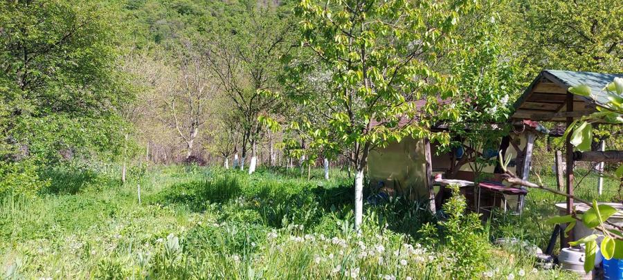 Teren intrare Herculane,E 70 Herculane-Orsova - 3