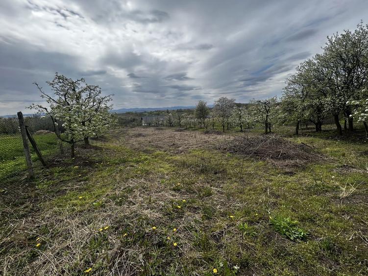 Teren intravilan 3600 mp Str. Lovinescu, Radaseni, toate utilitatile - 5