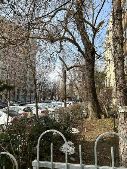 Titan Jean Steriadi 33 Mp Parter Inalt Bloc 1970 Reabilitat 12 Min Metrou - 9