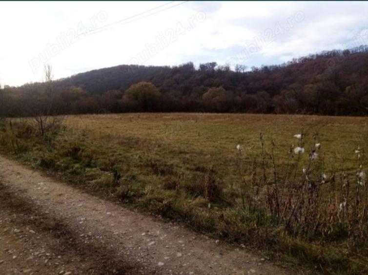 Teren de vanzare Sighi?oara, Dane? - 2