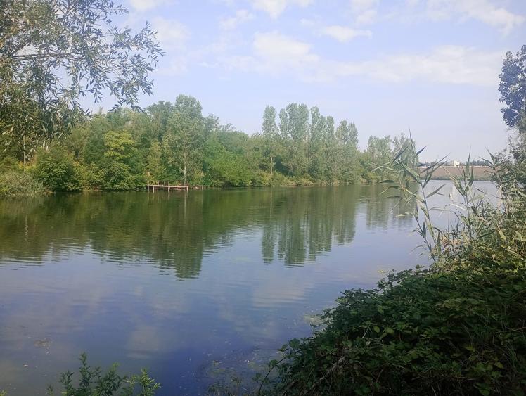 Teren superb  1100mp lac Găneasa - 6