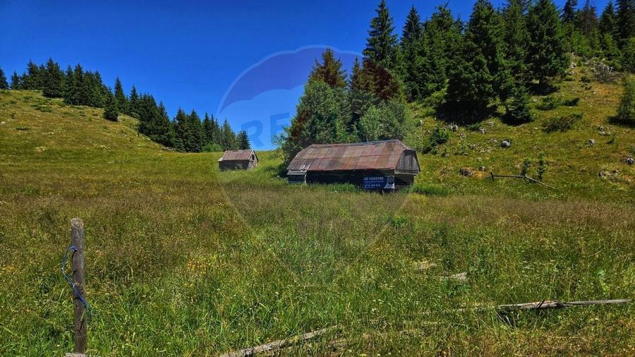 Teren de 7830mp de vanzare in Fundata! Comision 0% - 9