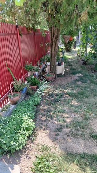 Casa de vanzare 50.000 euro - 3