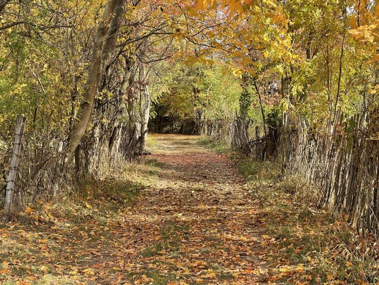 Teren Premium 1559 mp, Brebu Manastirei - Refugiu Montan la 120 km de Bucuresti, - 9