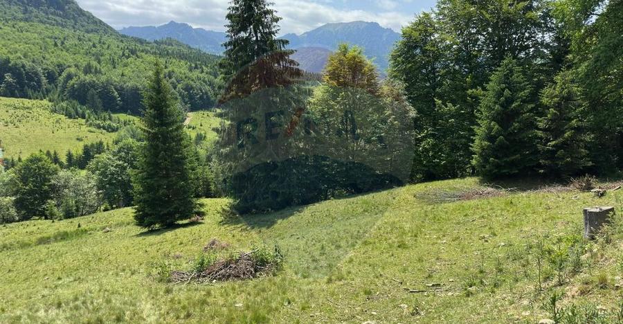 Teren 6000 mp, Vama Buzaului - vedere catre Ciuca? - 9