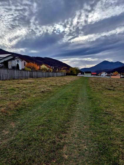 Teren Intravilan superb, 504 mp x 2/ casa locuit Bunloc - 5