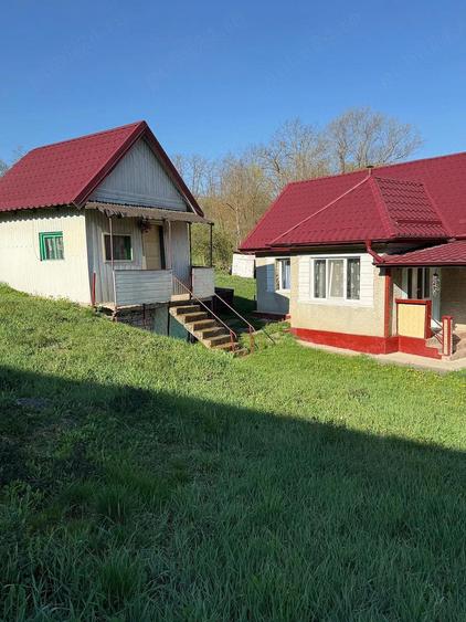 Vand casa la tara! - 2