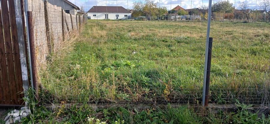 Teren intravilan Biharia - 3