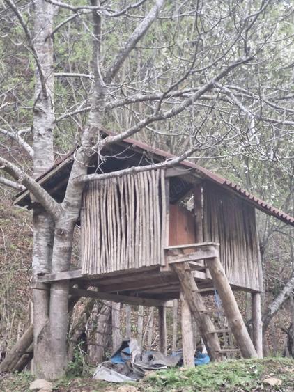 DE VANZARE- Proprietati ?i teren in comuna Malaia,sat Ciungetu(jud.Valcea) - 3