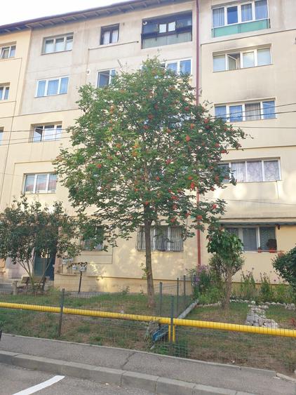 Inchiriez garsoniera Sinaia - 7