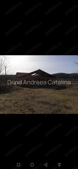 Vand casa in sat Pades