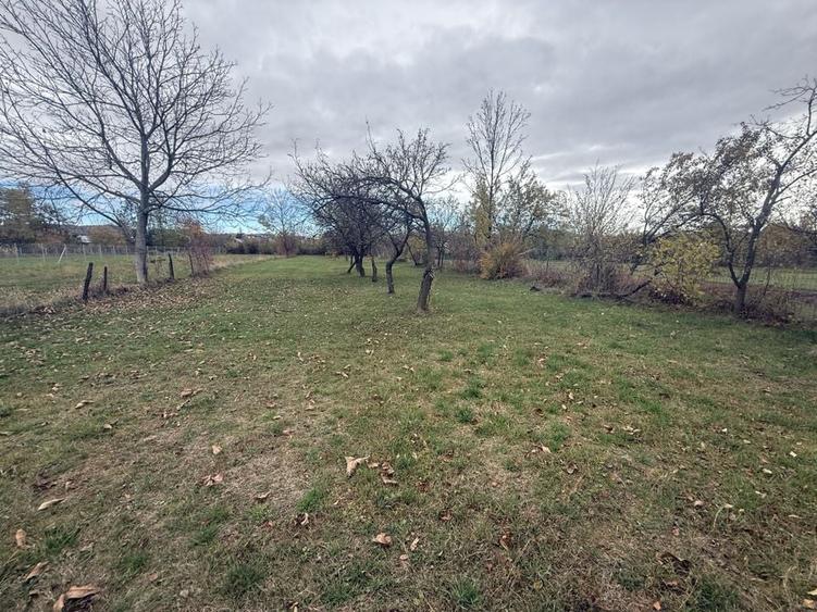 Teren intravilan împrejmuit 2331 mp la strada, toate utilitățile! - 9