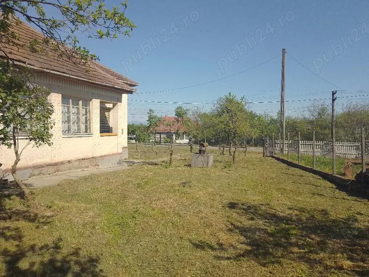 Casa in Viile Satu Mare - 2