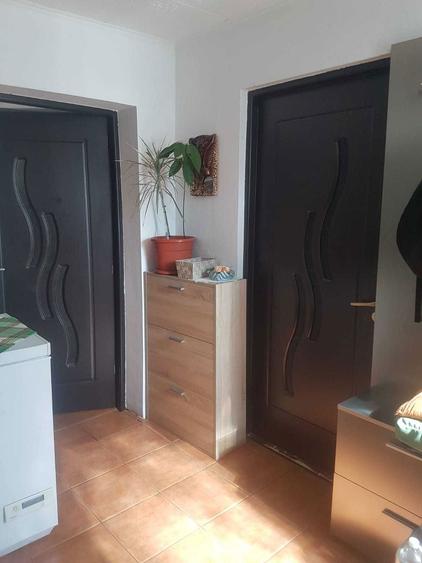 Casa de vanzare Pecica - 2