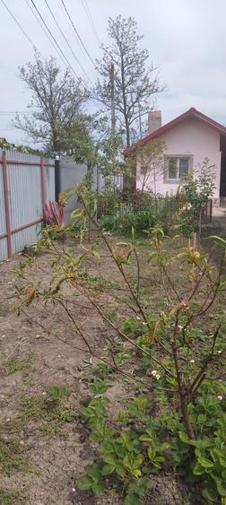 Casa de vanzare Boldesti Prahova - 5