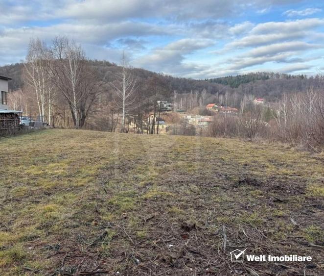 Teren spectaculos, intravilan,  Feleacu, zona linistita, padure + parau. - 6