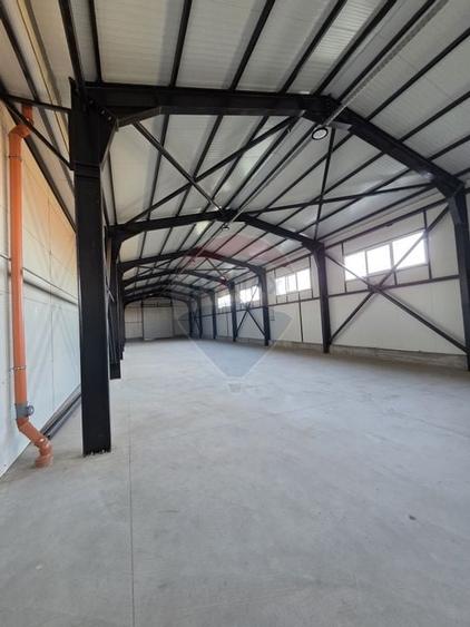 Hala plus spatiu birouri, zona Strada Vrancei - 4