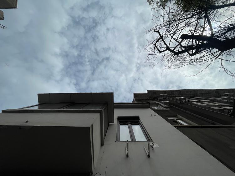 Apartament spectaculos de 4 camere într-o vilă cu farmec istoric, Victoriei - 22