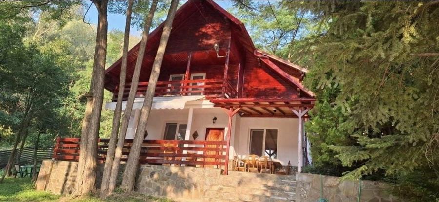 Casă cu 4 camere cu Teren 1000 Mp în Lunca Mare