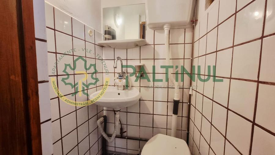 Casă singur în curte, 1.310 mp teren – Gusterița, garaj, pivniță, grădină - 12