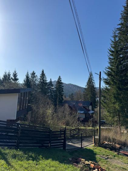 Apartament la curte Predeal - 9