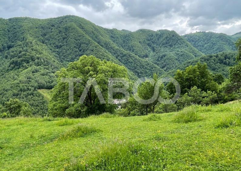 Teren intravilan de vanzare in Martinia de sus