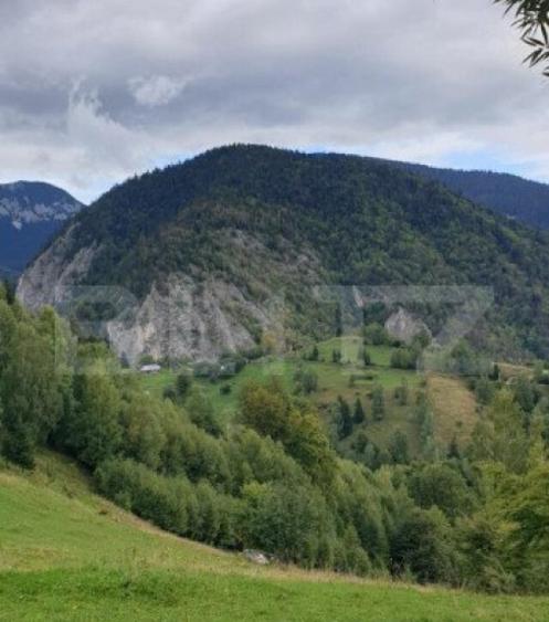 Teren 13.570 mp, Moieciu Pestera - 4