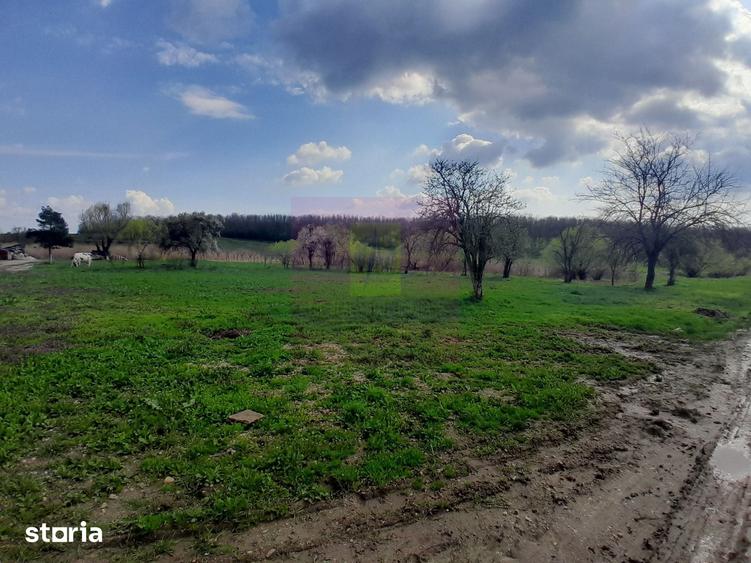 Teren de 3400 mp, în Buturugeni