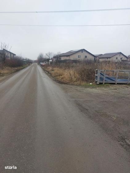 Clinceni - Olteni, Strada Fortului, Stradal - 2