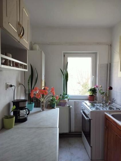 Apartament cu o camera, direct de la proprietar, Zona Freidorf - 3
