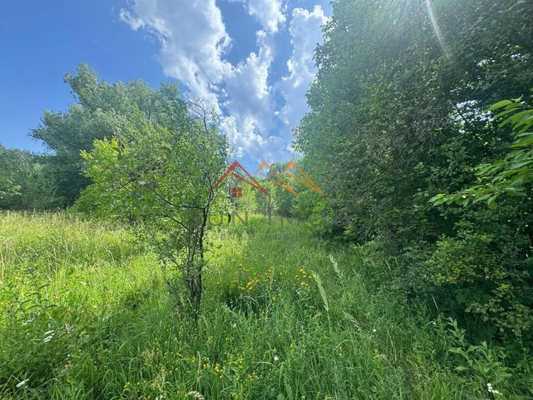 Teren 2037 mp, 17 ml deschidere, utilitati in zona, vedere panoramica - 6