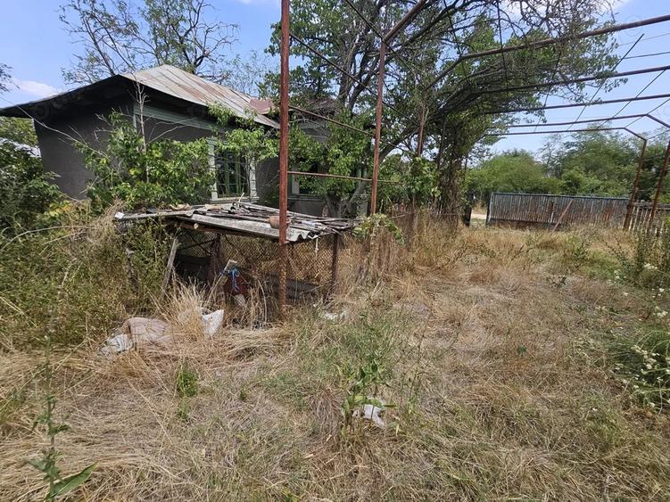 Gospodarie cu 2 case Comuna Trivale Mosteni, sat , la 30 km de Alexandria, jude?ul Teleorman - 11