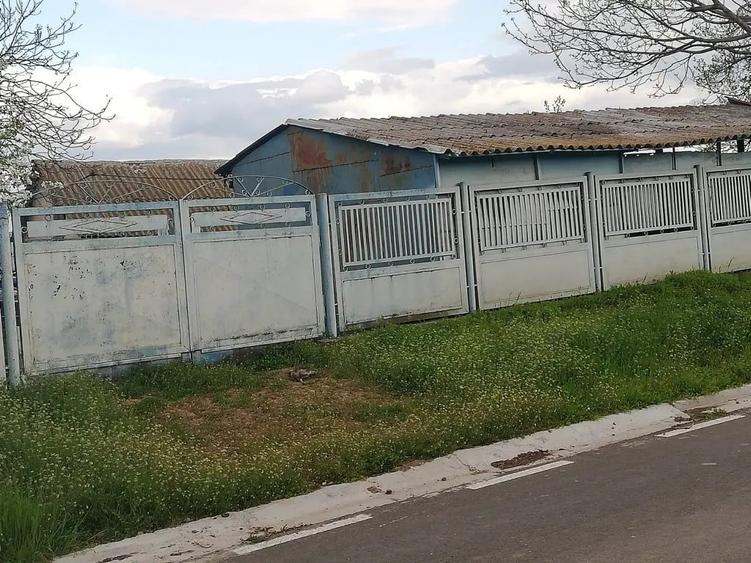Casa de vanzare balabancea,tulcea - 9