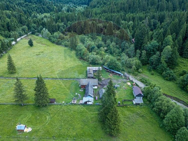 Ferma de vanzare, teren 21436 mp intravilan, Cosnea, Agas - 6