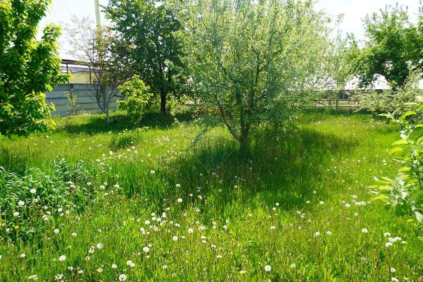 Teren 4,076mp Sarasau - 6