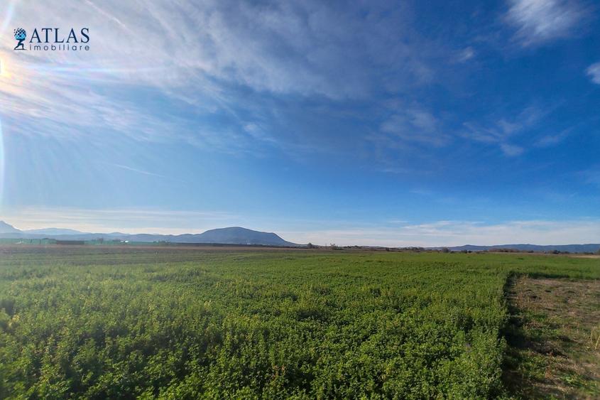 Teren ideal dezvoltare rezidențială, 8.121 mp, PUZ aprobat, utilități, Stupini - 4