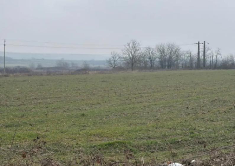 Teren de 9000mp, la intrarea in Filiasi ,la 300m de str. Rac - 2