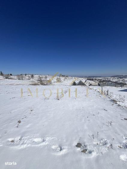 De vanzare Teren in Marisel cu suprafata de 2500 mp - 3
