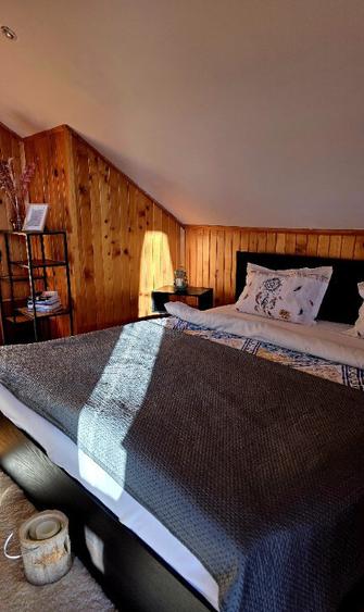 Casa in Moac?a cu vedere la Lacul Padureni - 9