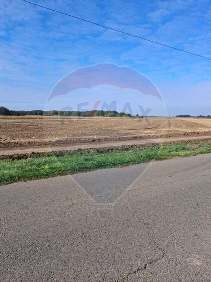 Teren 21,177mp Santaul Mic / Strada - - 1